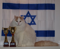 Pierre vinder BIS x 2 i Israel