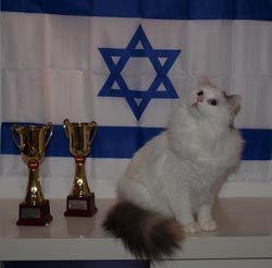 Topaz vinder BIS x 2 i Israel